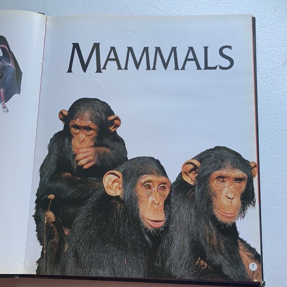 Animal Kingdom Hardback Book - Picture 4 of 16